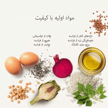 chat-adulte-classique-canard pe