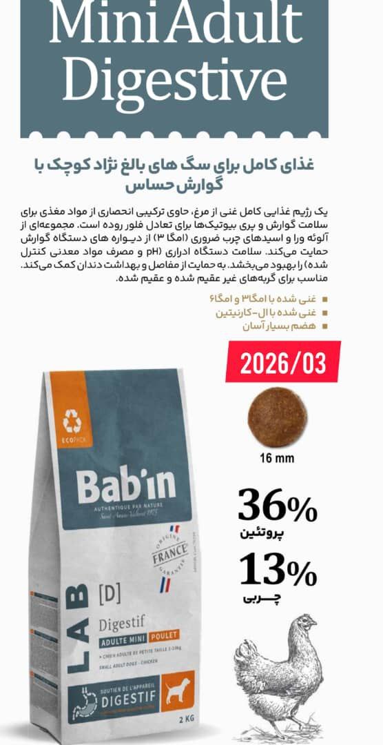 photo_2025-10-11_20-13-05