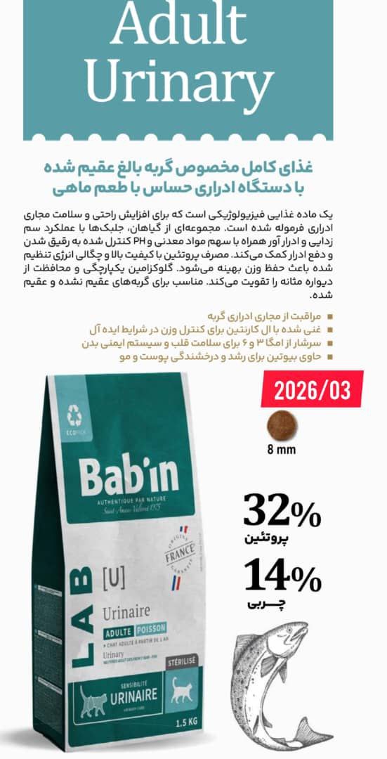 photo_2025-10-11_20-13-31